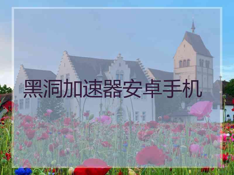 黑洞加速器安卓手机