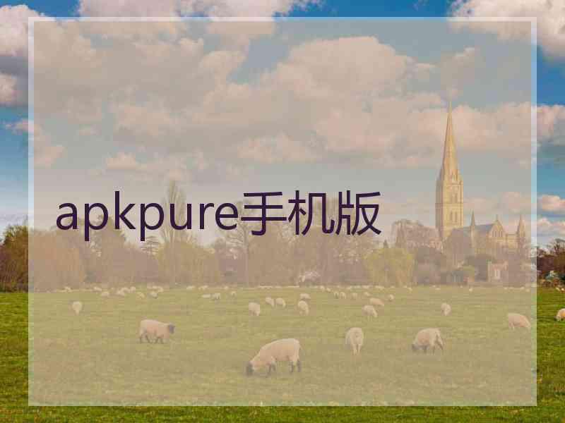 apkpure手机版