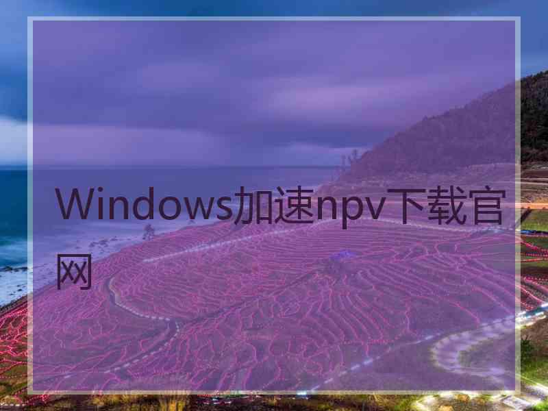 Windows加速npv下载官网
