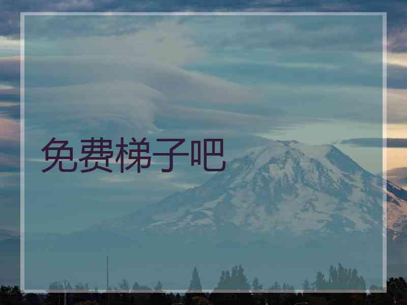 免费梯子吧