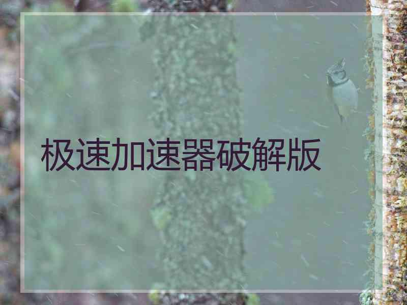 极速加速器破解版