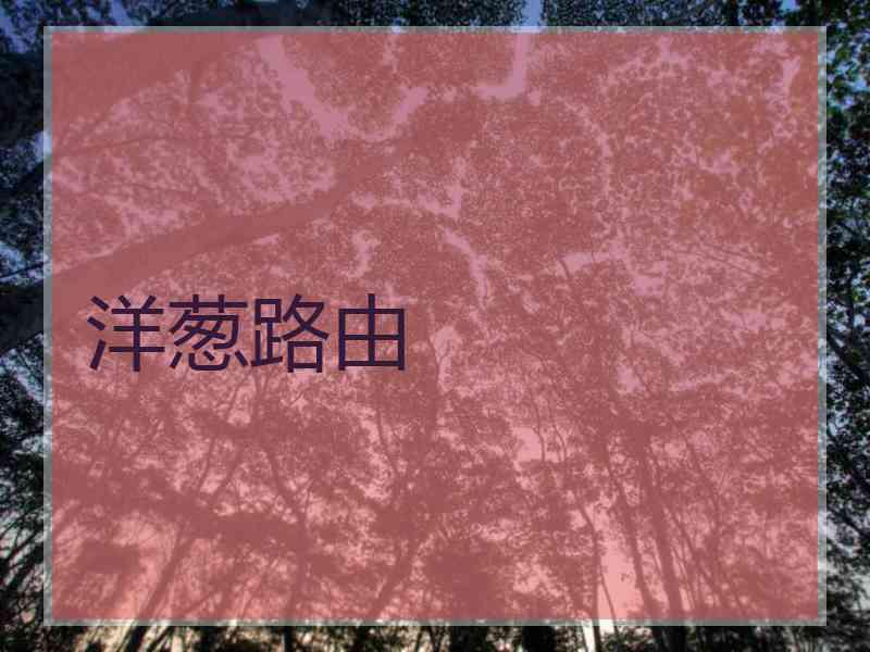 洋葱路由