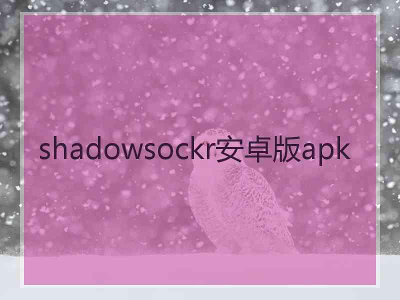shadowsockr安卓版apk
