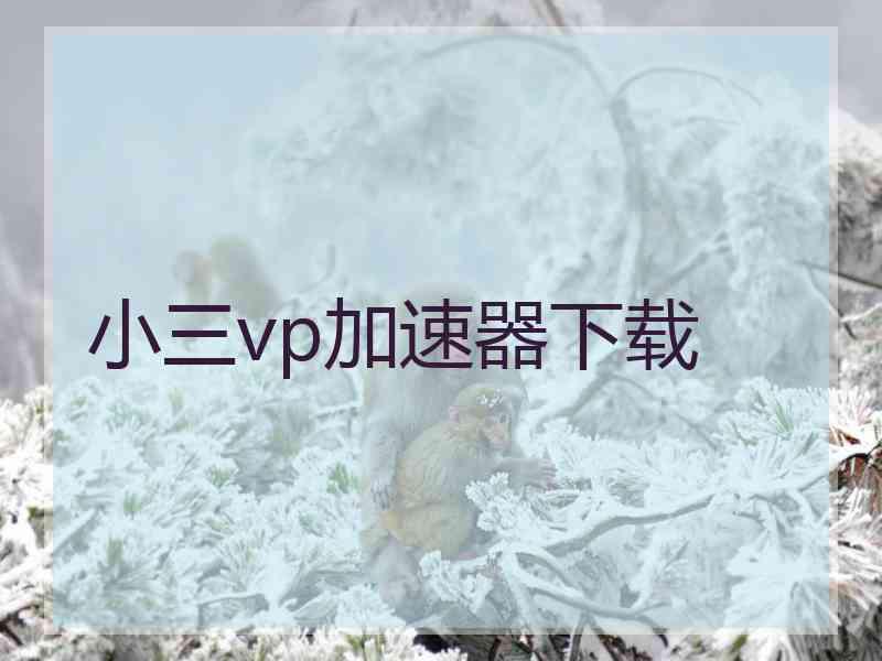 小三vp加速器下载