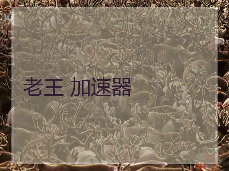 老王 加速器