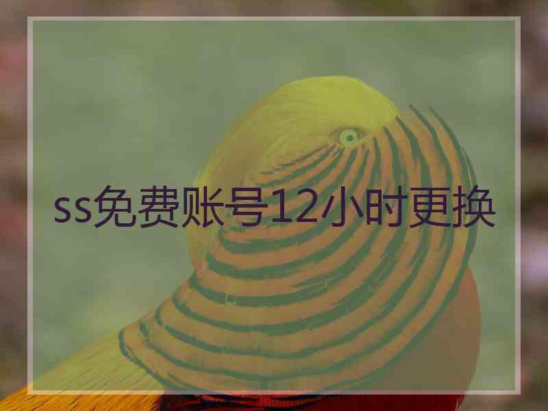ss免费账号12小时更换