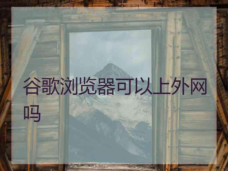 谷歌浏览器可以上外网吗