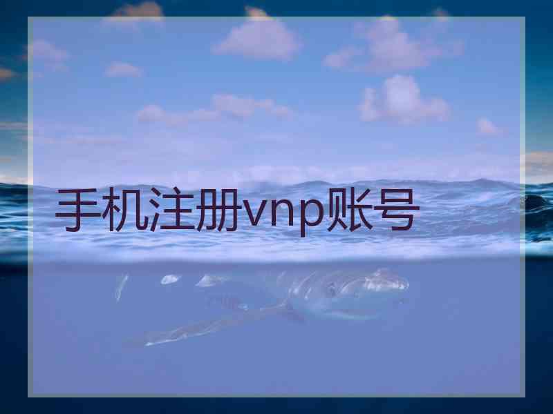 手机注册vnp账号