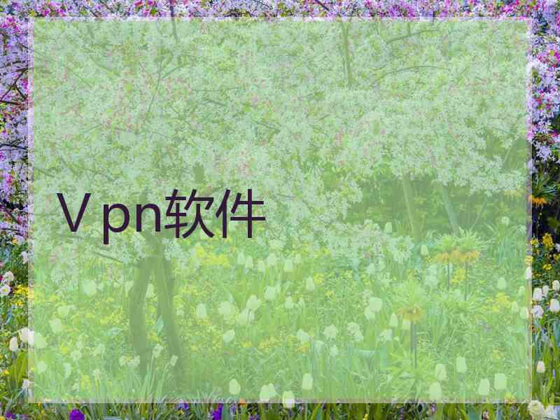 Ⅴpn软件