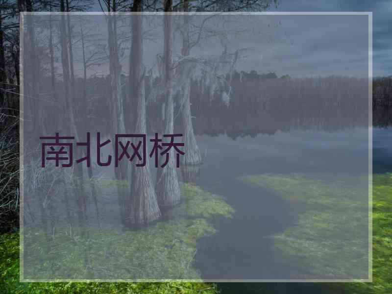 南北网桥