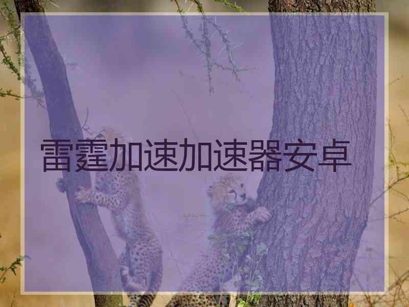 雷霆加速加速器安卓