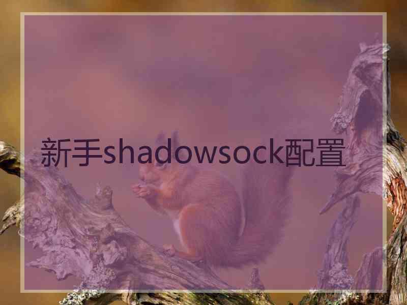 新手shadowsock配置
