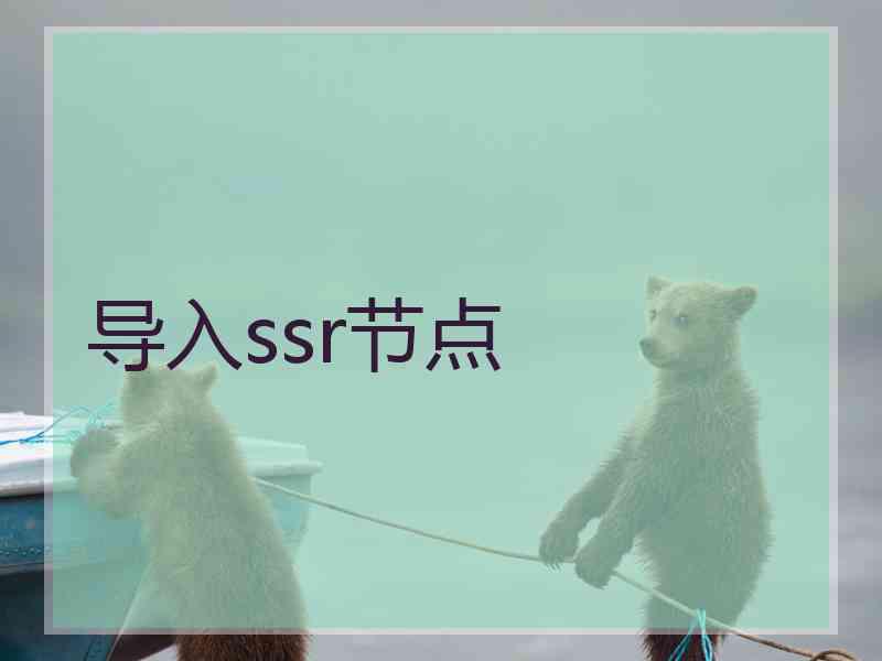 导入ssr节点