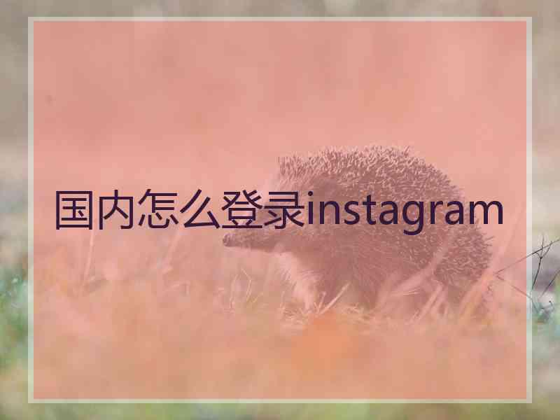 国内怎么登录instagram