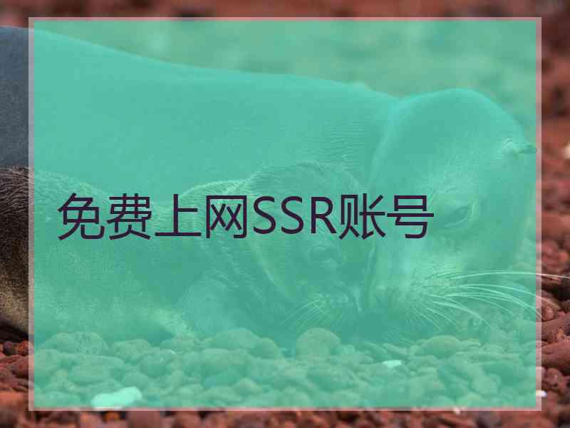免费上网SSR账号