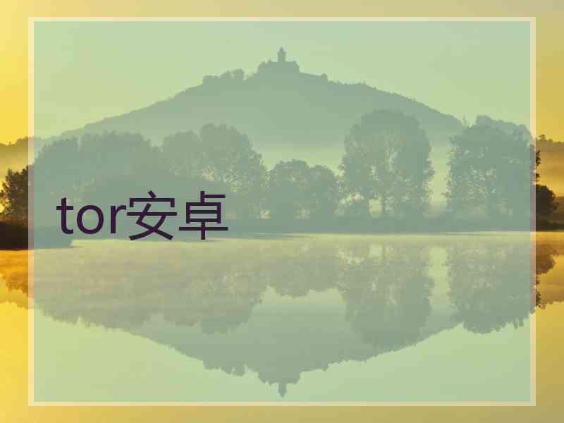 tor安卓