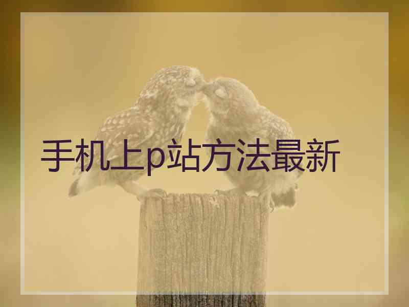 手机上p站方法最新