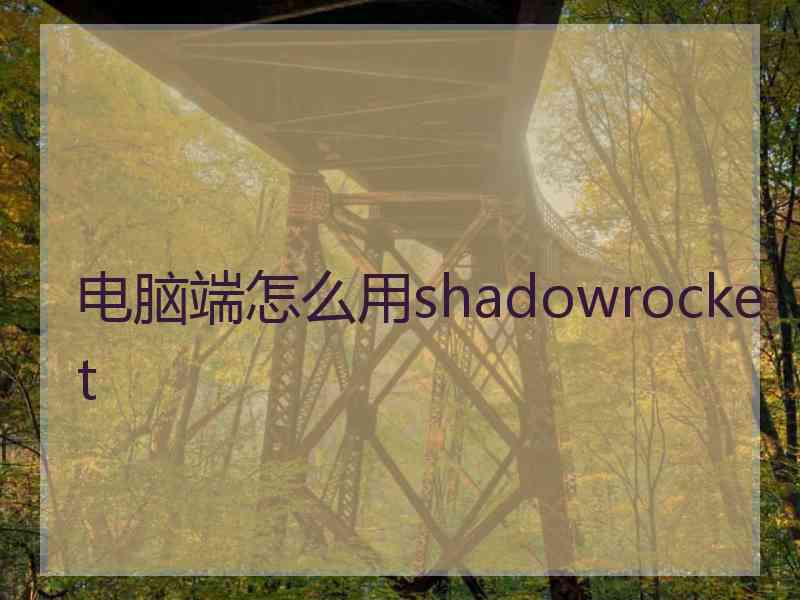 电脑端怎么用shadowrocket