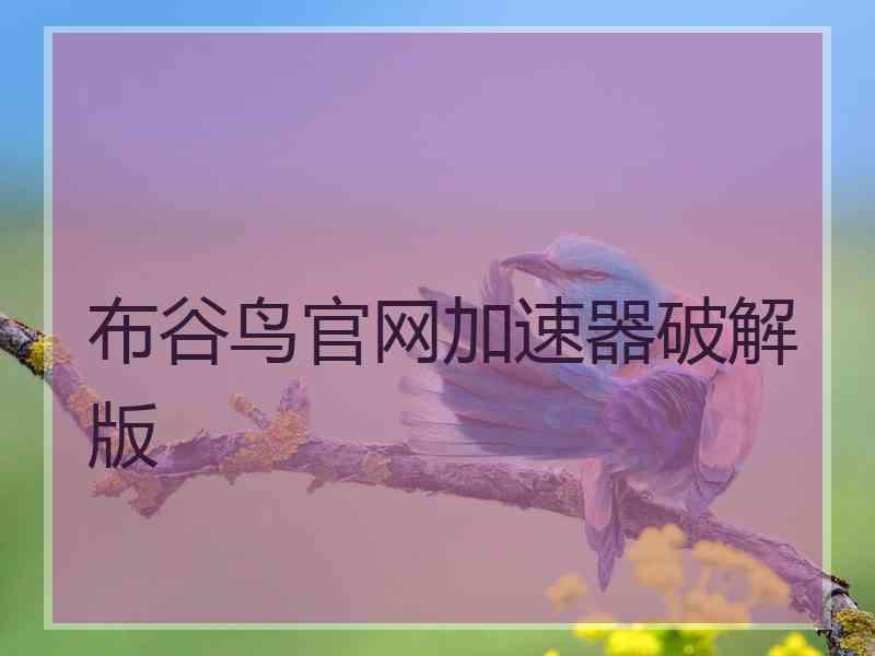 布谷鸟官网加速器破解版