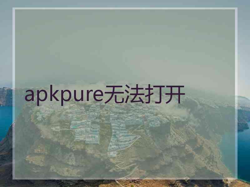 apkpure无法打开