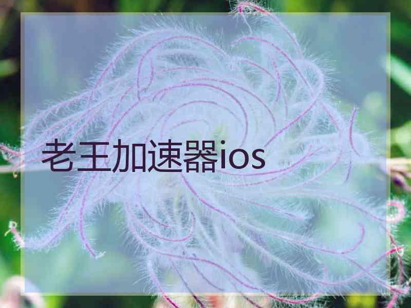 老王加速器ios