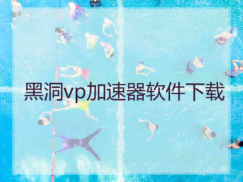 黑洞vp加速器软件下载