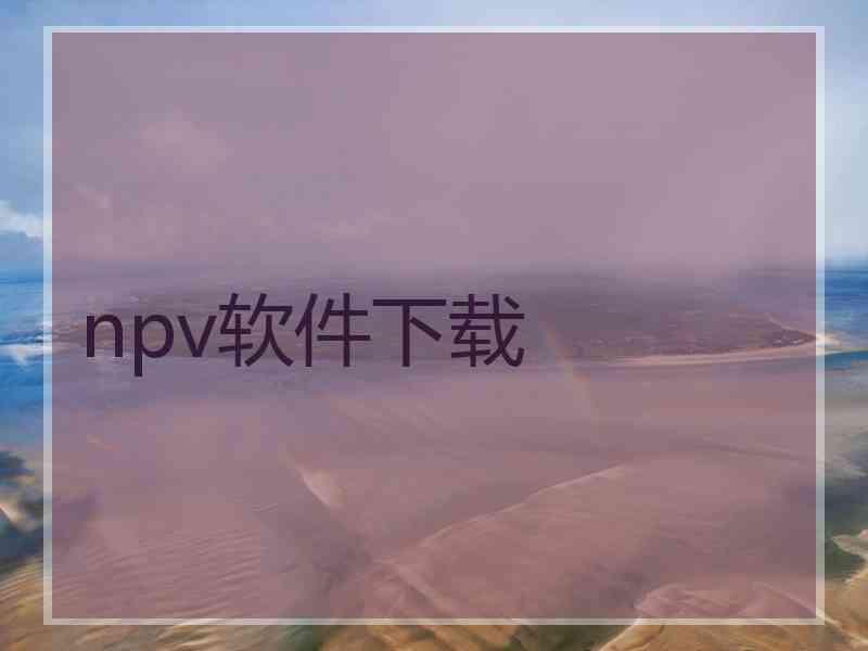 npv软件下载