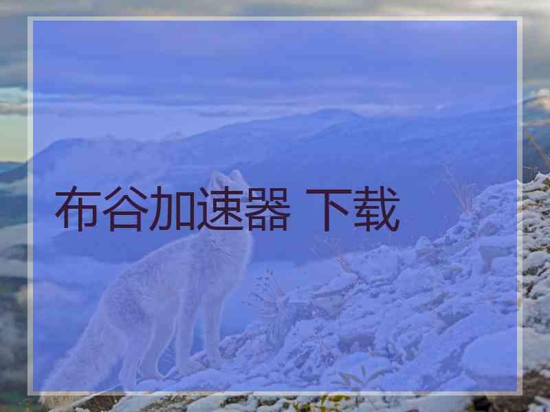 布谷加速器 下载