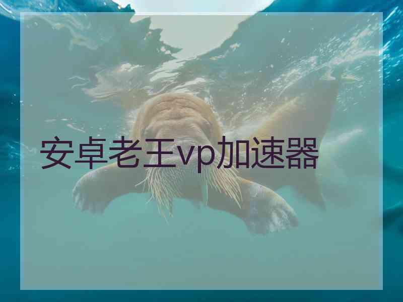 安卓老王vp加速器