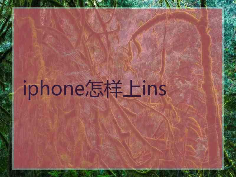 iphone怎样上ins
