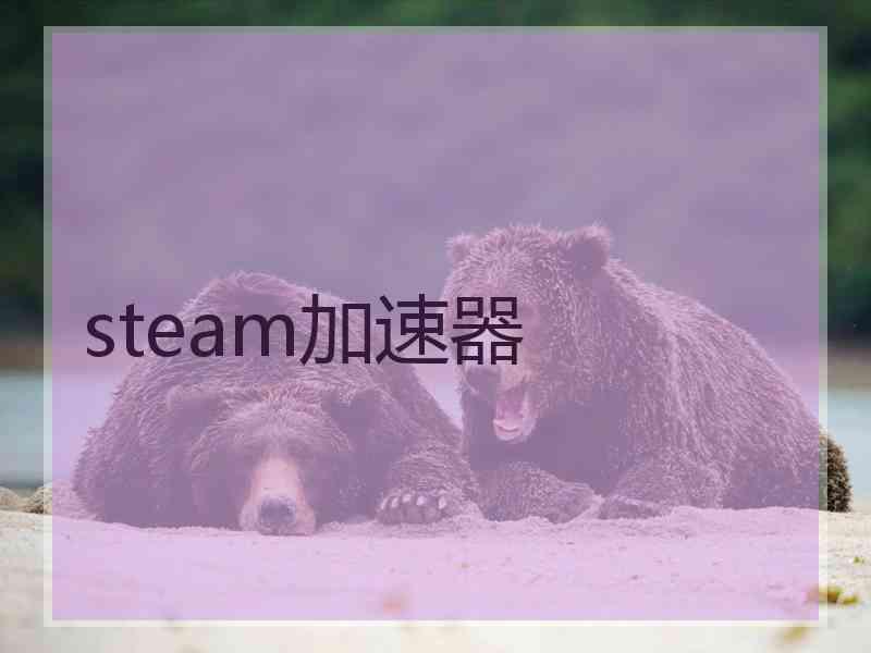 steam加速器