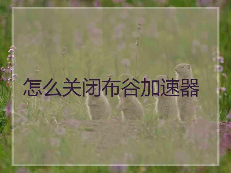 怎么关闭布谷加速器