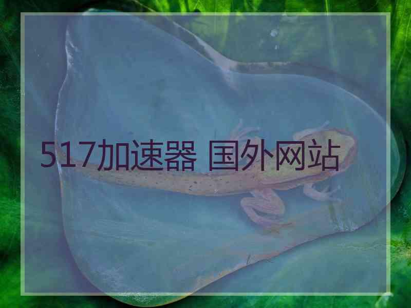 517加速器 国外网站