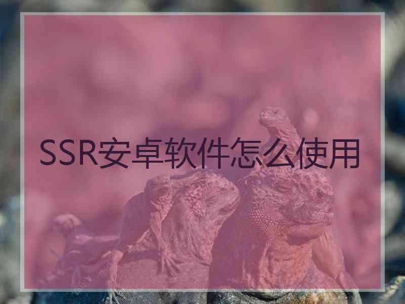 SSR安卓软件怎么使用