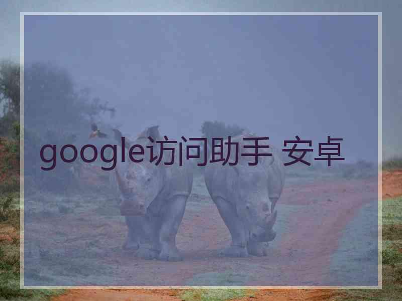 google访问助手 安卓
