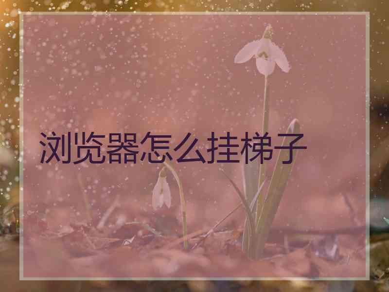 浏览器怎么挂梯子