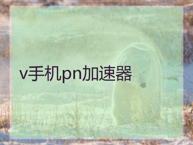 v手机pn加速器