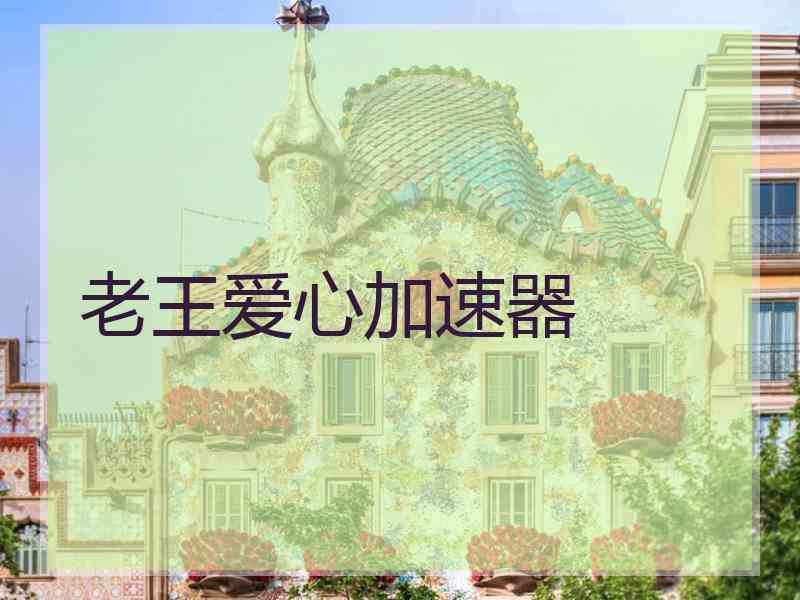 老王爱心加速器
