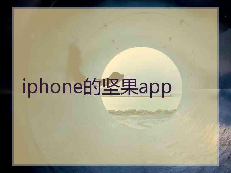 iphone的坚果app