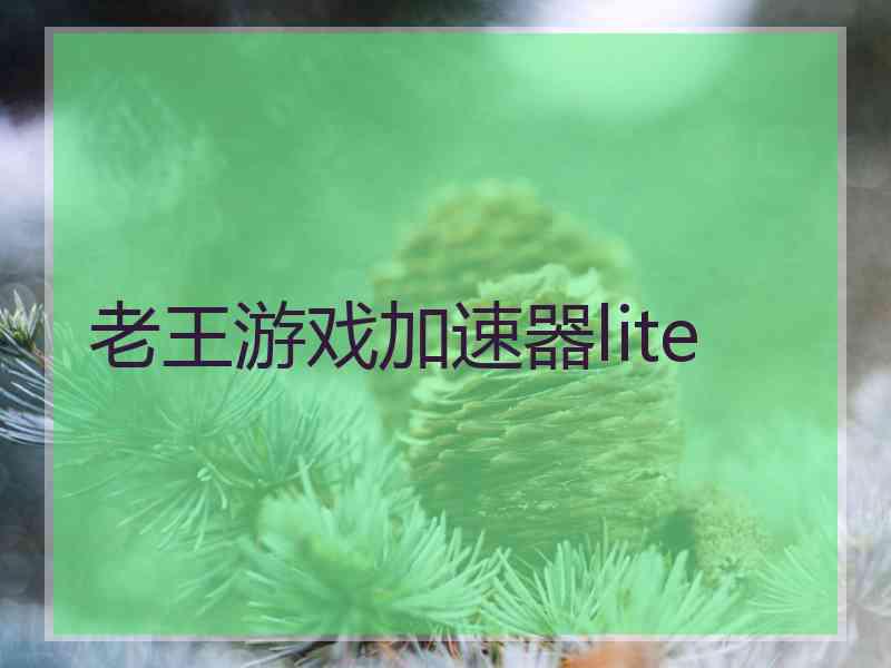 老王游戏加速器lite