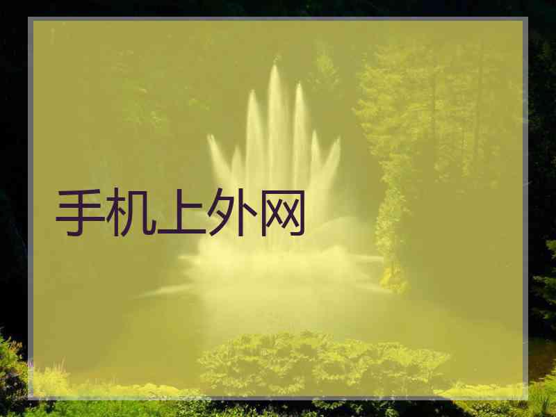 手机上外网