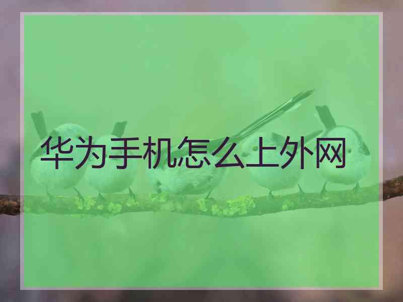 华为手机怎么上外网