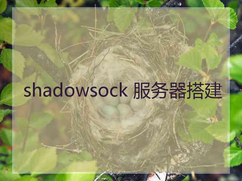shadowsock 服务器搭建