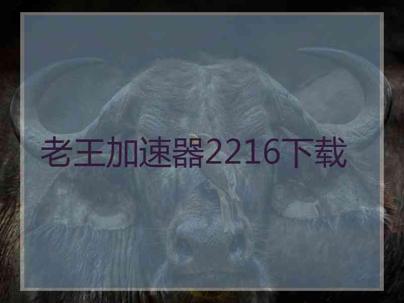 老王加速器2216下载