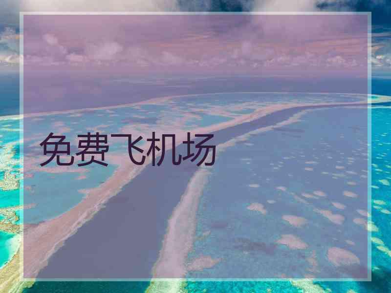 免费飞机场
