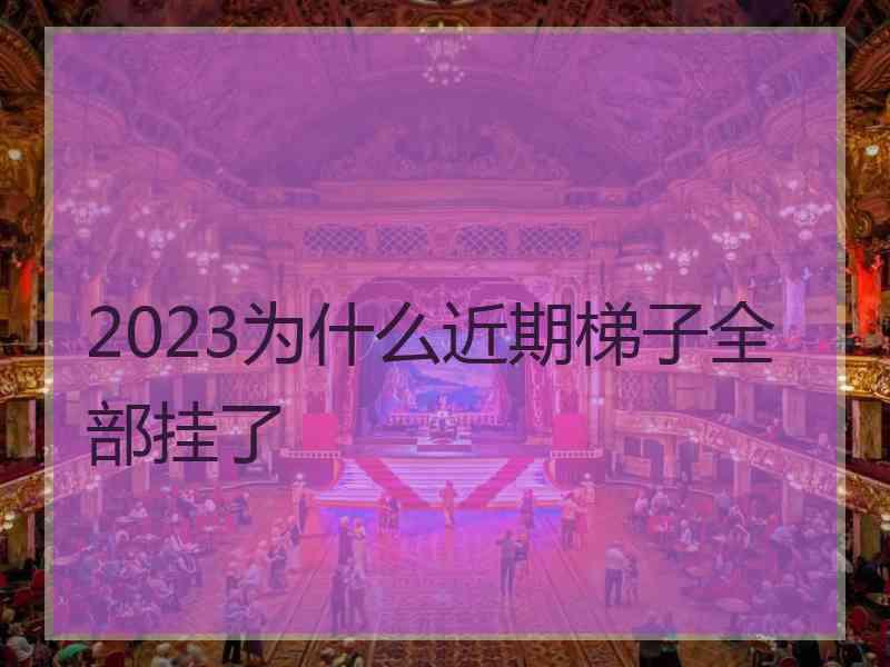 2023为什么近期梯子全部挂了