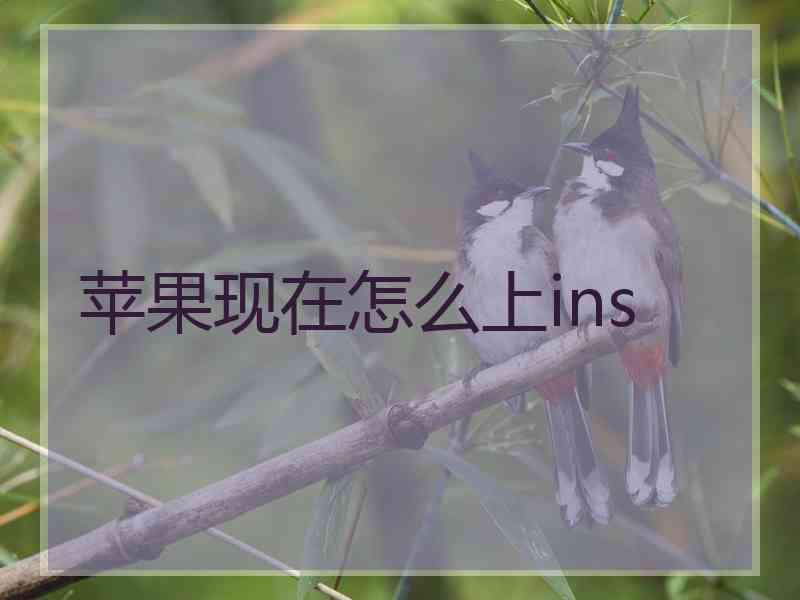苹果现在怎么上ins