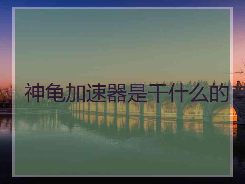 神龟加速器是干什么的