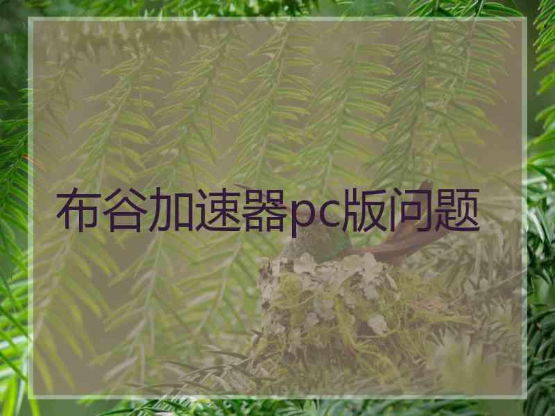 布谷加速器pc版问题
