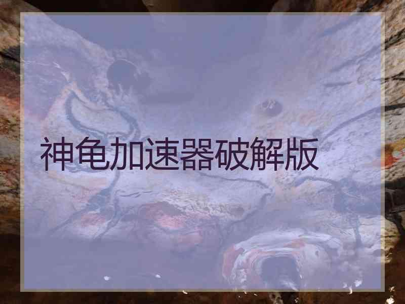 神龟加速器破解版